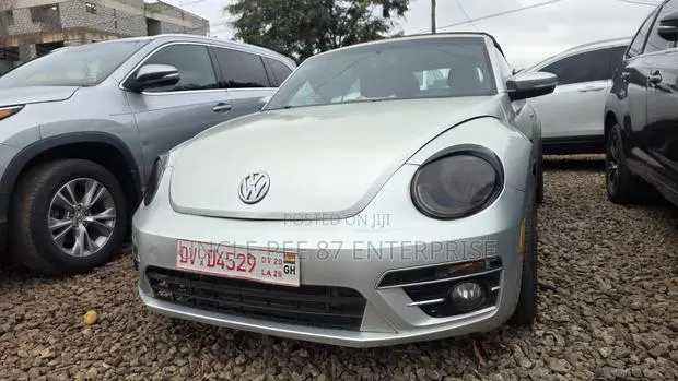 Volkswagen Beetle 2015 Silver · Photo 1