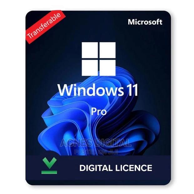 Windows 11 Professional Transferable Digital License(1PC) · Photo 1