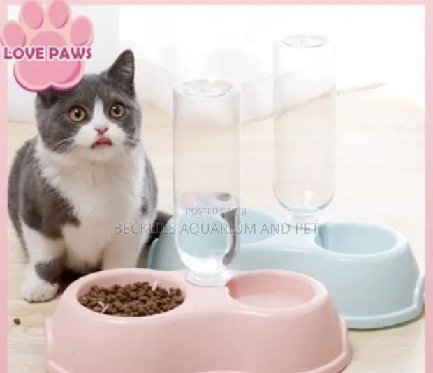2 in 1 Feeder With Bottle · Photo 1