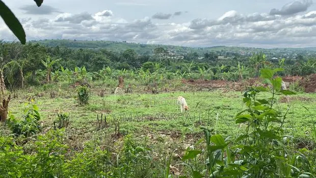3plots Registered With All Necessary Documents · Photo 1