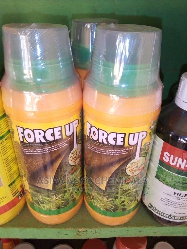Weedicides · Photo 4