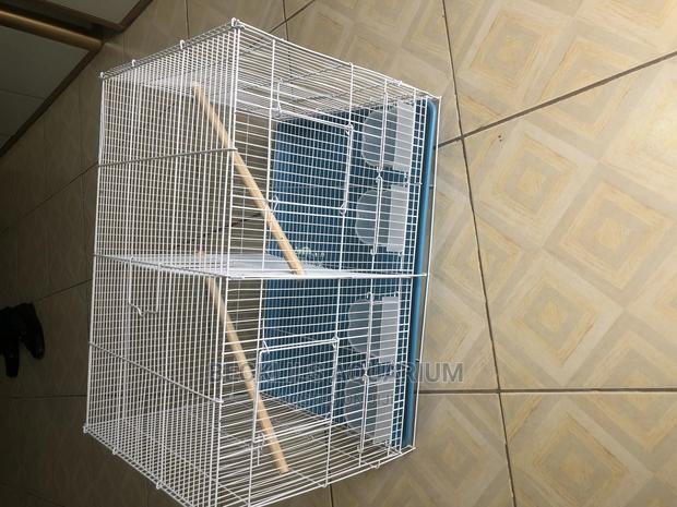 Parrot Cages N More · Photo 4