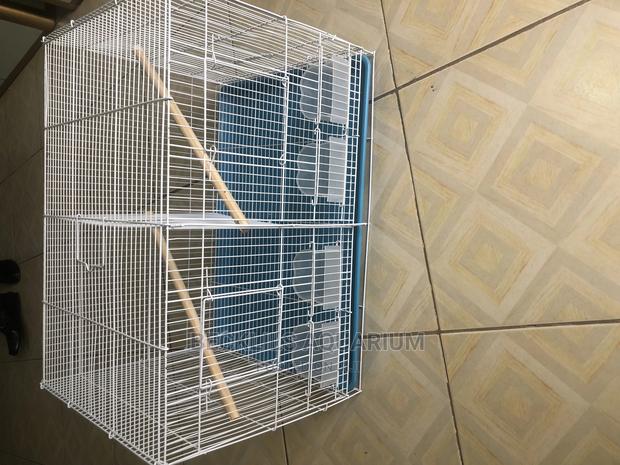 Parrot Cages N More · Photo 1