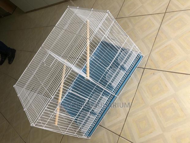 Parrot Cages N More · Photo 2