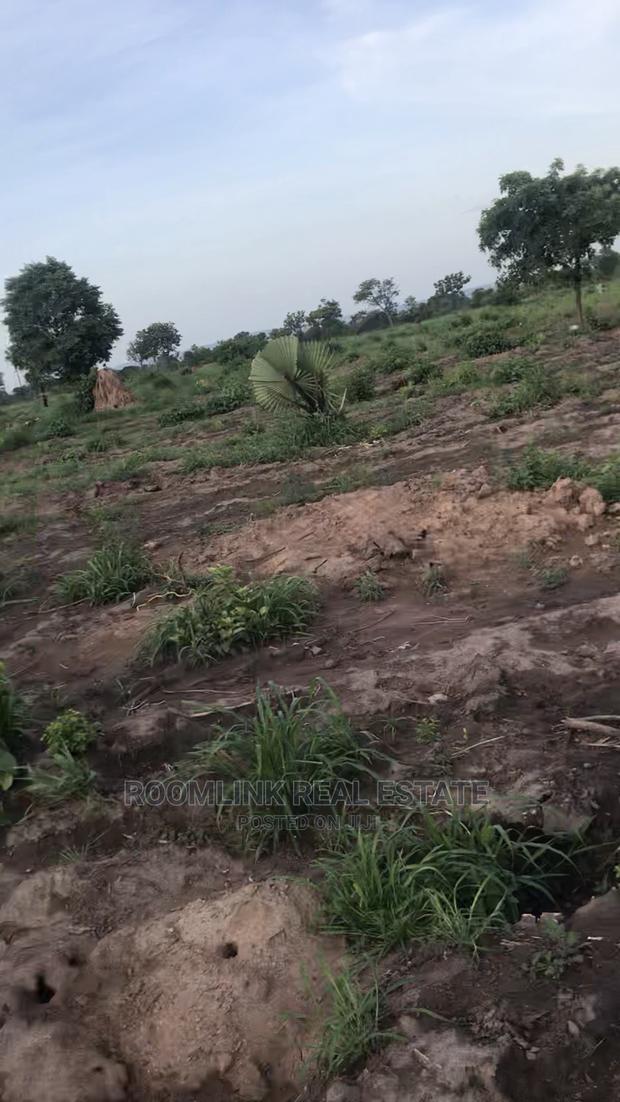 Negotiable Affordable Farmland at Kintampo 5000+ Acres · Photo 6