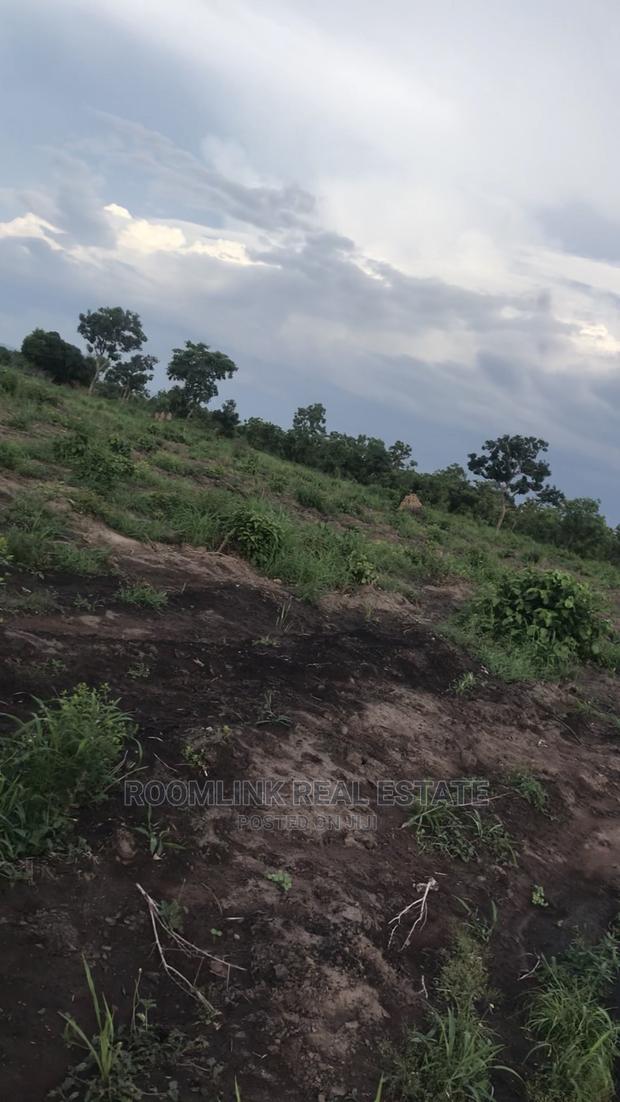Negotiable Affordable Farmland at Kintampo 5000+ Acres · Photo 8