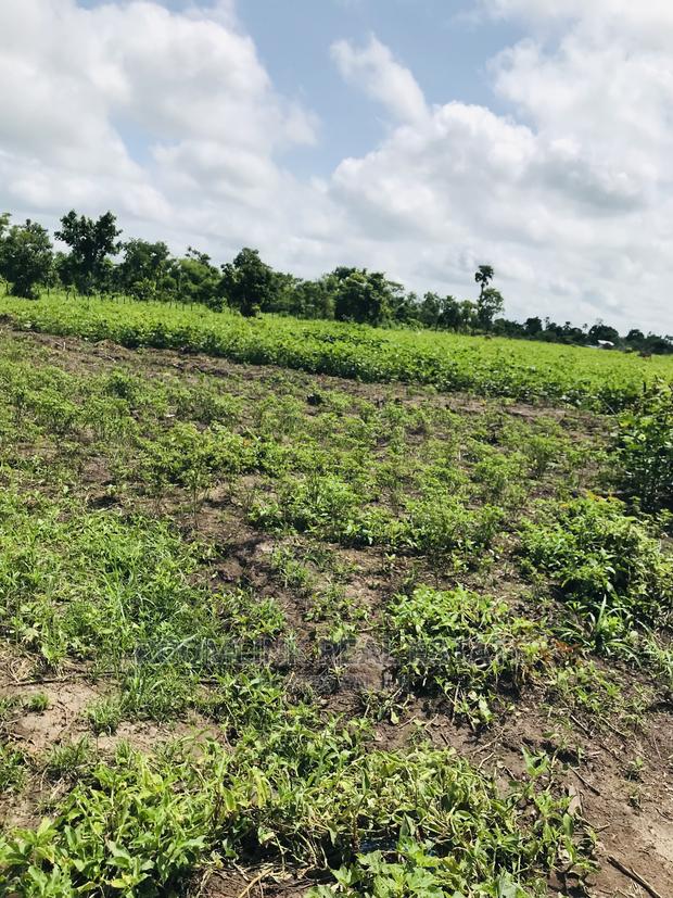 Negotiable Affordable Farmland at Kintampo 5000+ Acres