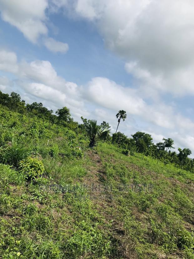 Negotiable Affordable Farmland at Kintampo 5000+ Acres · Photo 3