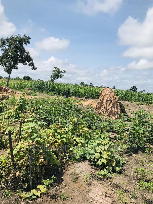 Negotiable Affordable Farmland at Kintampo 5000+ Acres · Photo 4
