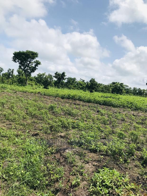 Negotiable Affordable Farmland at Kintampo 5000+ Acres · Photo 2