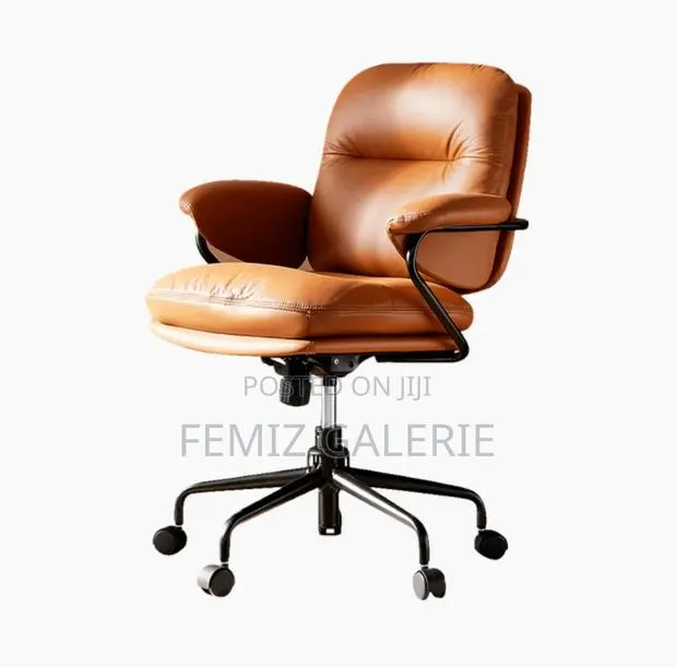 Oraimo Softnest Double-Layer Cushioning Office Chair · Photo 1