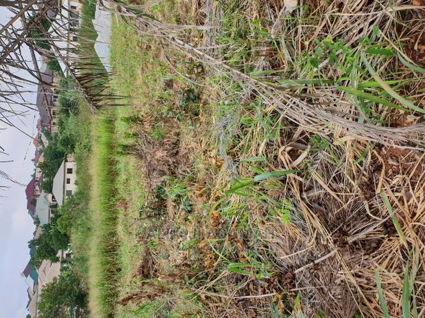 Land for Sale at Boforuyedu Adumasa · Photo 2