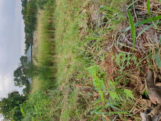 Land for Sale at Boforuyedu Adumasa · Photo 1