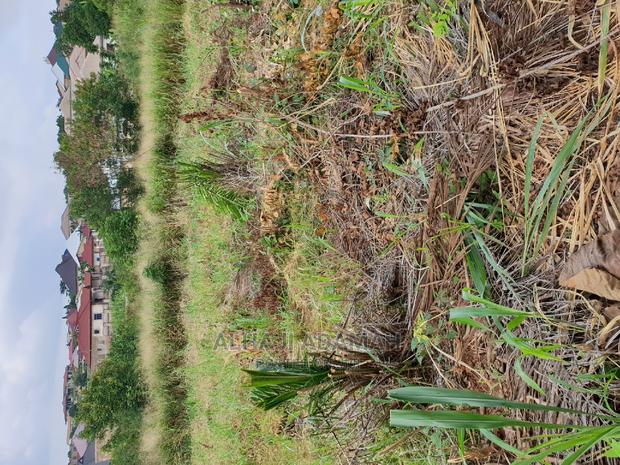 Land for Sale at Boforuyedu Adumasa · Photo 3
