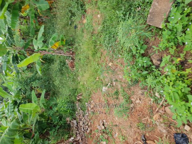 Land for Sale at Boforuyedu Adumasa · Photo 4
