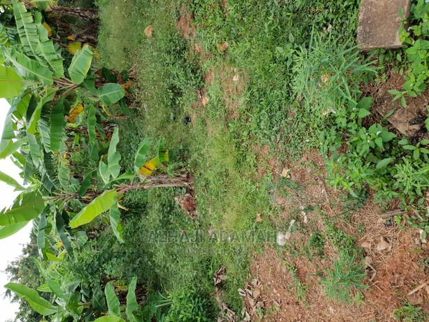 Land for Sale at Boforuyedu Adumasa · Photo 8