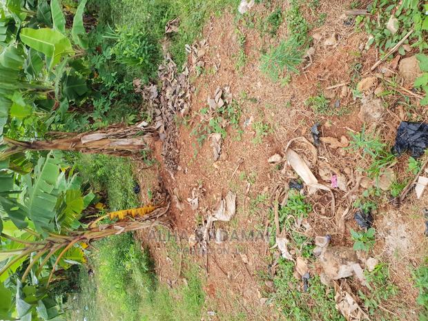 Land for Sale at Boforuyedu Adumasa · Photo 5