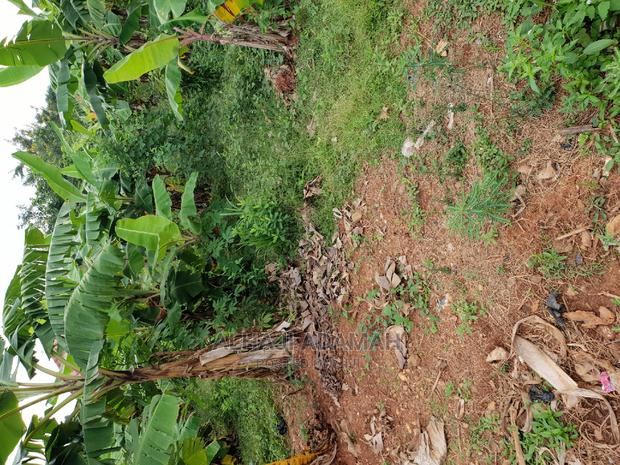 Land for Sale at Boforuyedu Adumasa · Photo 7