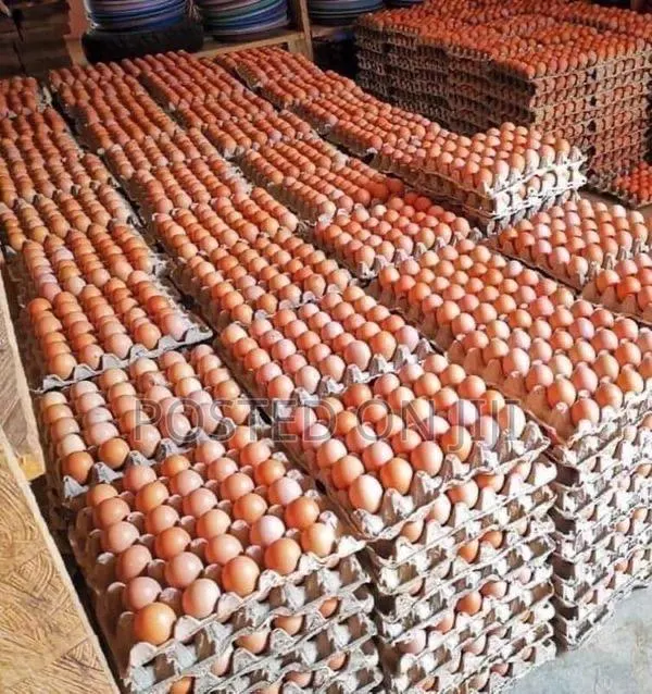 Organic Eggs · Photo 1
