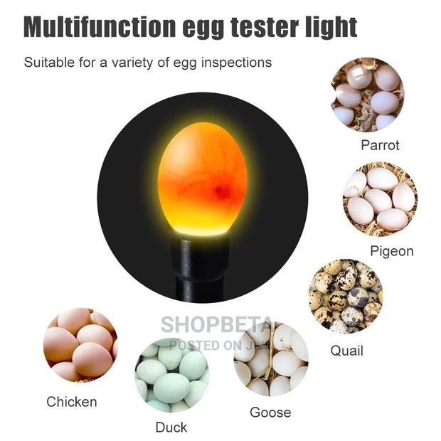 Egg Incubator -9 Eggs · Photo 2