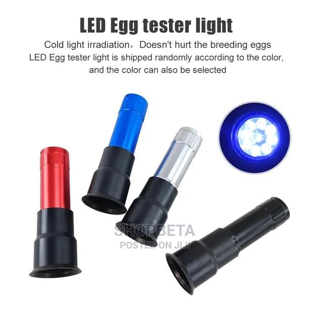 Egg Incubator -9 Eggs · Photo 3