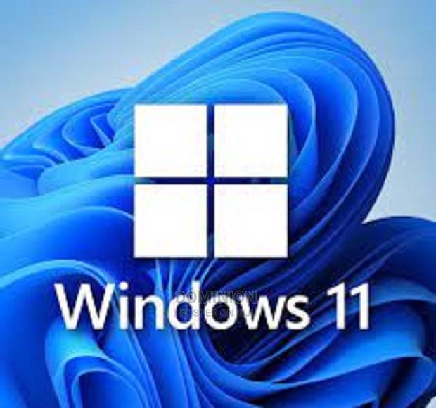 Windows 11 Professional Lincence Key · Photo 1