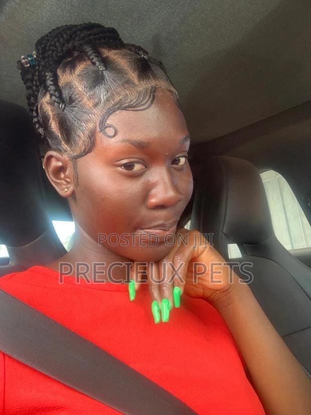 Box Braid Wig 001 · Photo 1