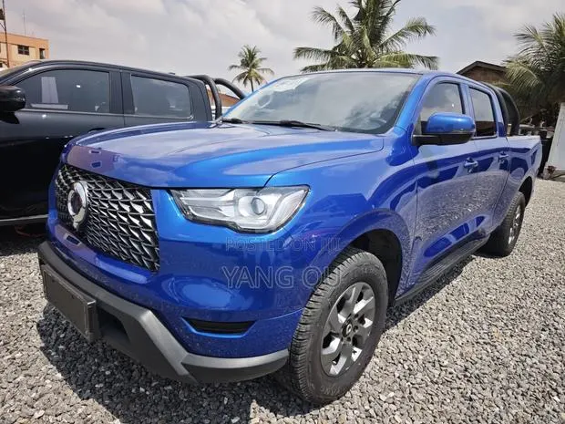 Great Wall Poer Premium 2022 Blue · Photo 1