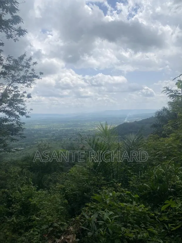 Land 70*100 · Photo 1