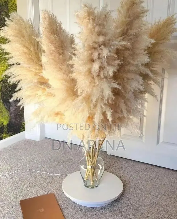Dried Pampas Grass in 7 Colors 85gh a Stick/ Stem · Photo 1
