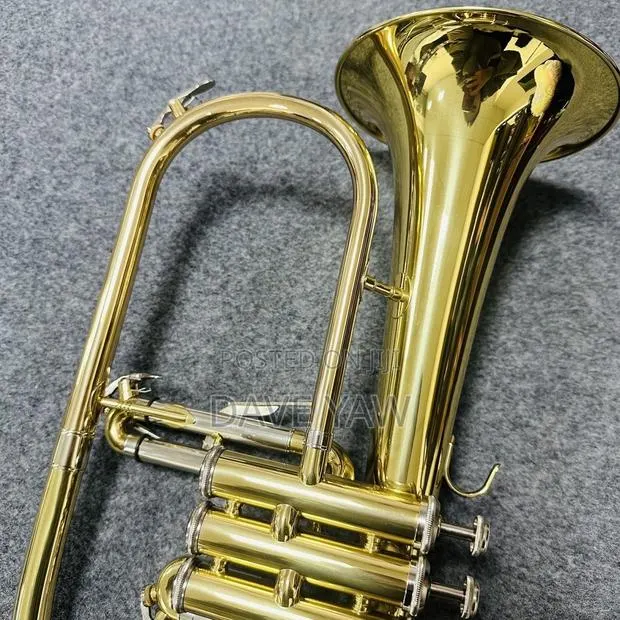 Frugal Horn/ Trumpet · Photo 1