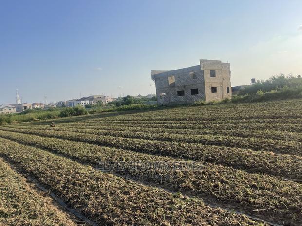 TWO Plots of Land for Sale at West Trasacco · Photo 1