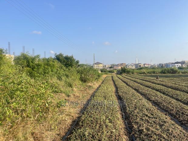 TWO Plots of Land for Sale at West Trasacco · Photo 2