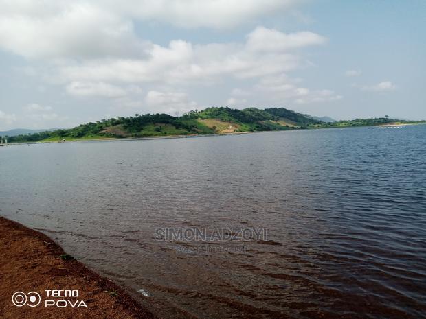5000 Acres of Farm Land for Sale or Long Lease · Photo 2
