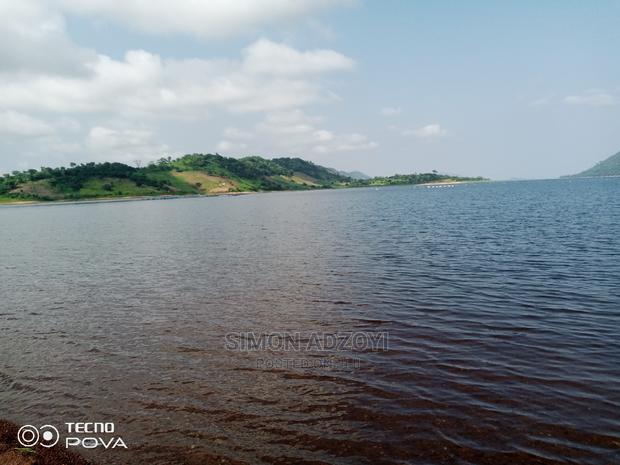 5000 Acres of Farm Land for Sale or Long Lease · Photo 3