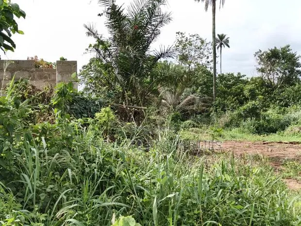 Plot for Sale at Asonomaso ( Sarfo) Near Mampongteng · Photo 1