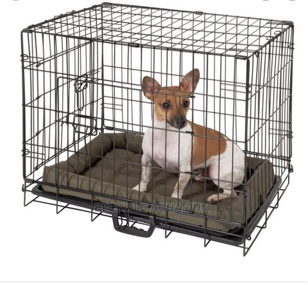 Dog Cages(Indoor) · Photo 1