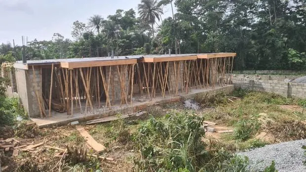 The Construction Carpenter · Photo 1