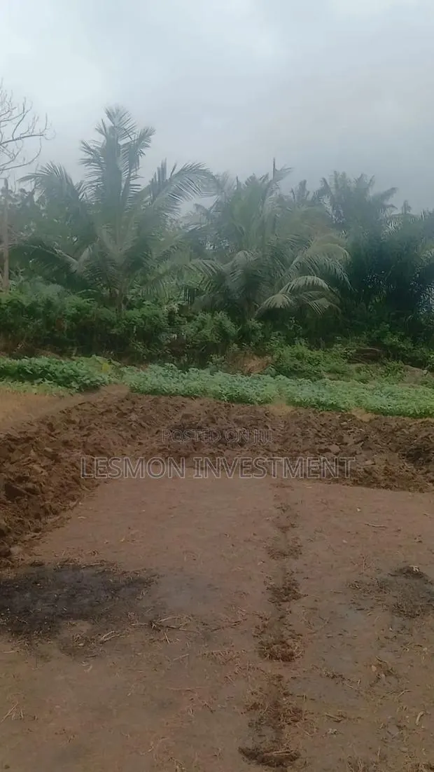 3 Plots for Sale at Airport Residential Area · Photo 1