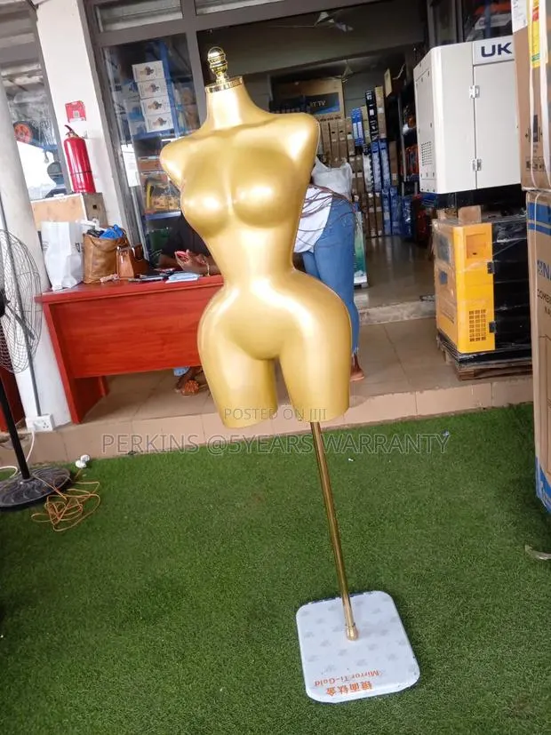 Stylish Women's Mannequin Torso · Photo 1