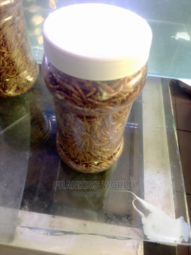 Worms Feed · Photo 1