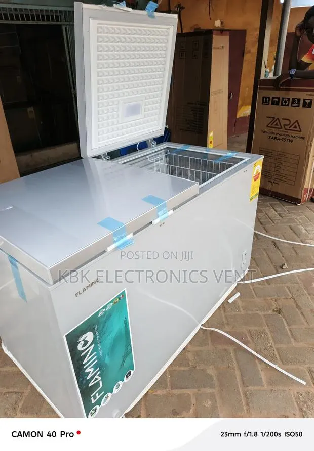 Flamino 350liters Double Door Chest Freezer · Photo 1