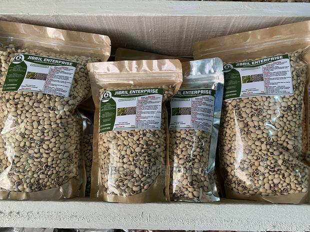 60 Days Cowpea/Beans Seeds for Planting · Photo 1