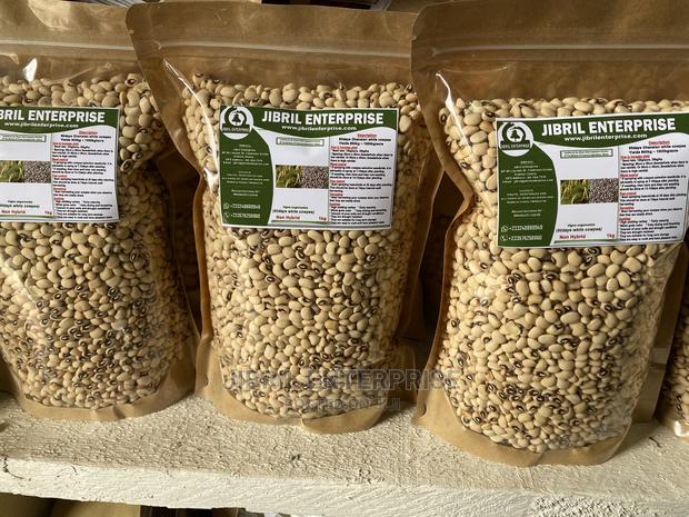 60 Days Cowpea/Beans Seeds for Planting · Photo 2