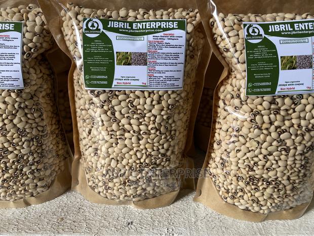 60 Days Cowpea/Beans Seeds for Planting · Photo 4