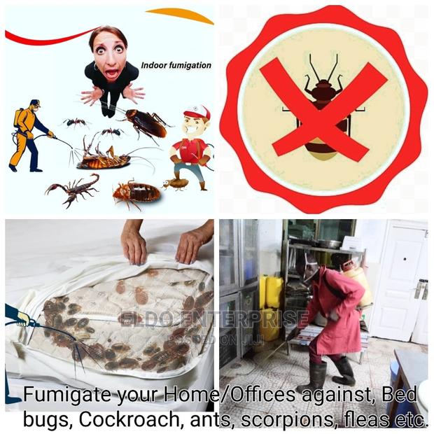 Homes and Offices Fumigation