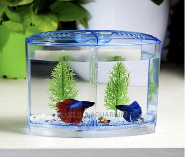 Mini Aquariums for Betta Fish · Photo 1