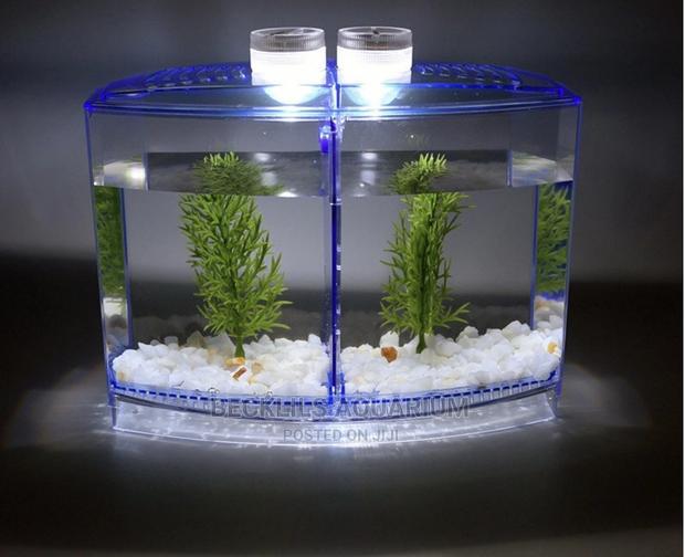 Mini Aquariums for Betta Fish · Photo 2