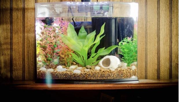 Table Top Aquarium · Photo 1