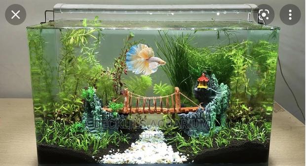 Table Top Aquarium · Photo 2